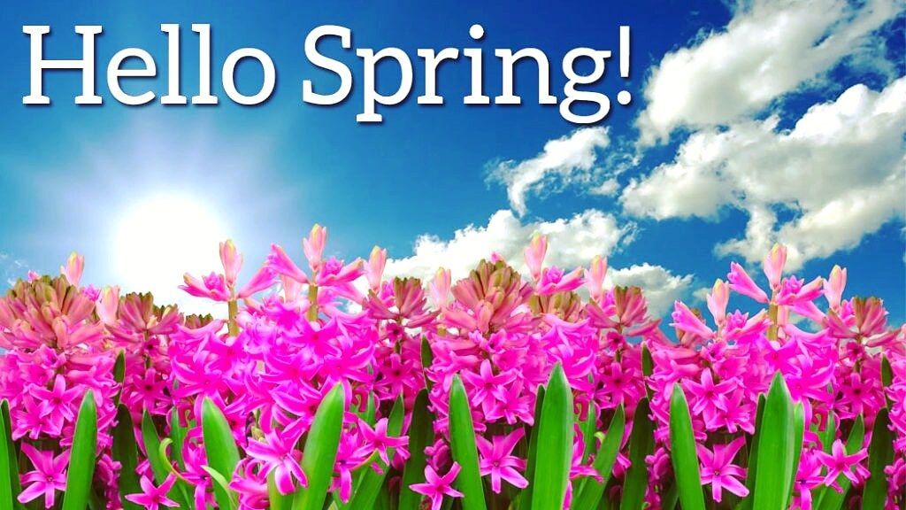 Lisa M. Prysock tweet media