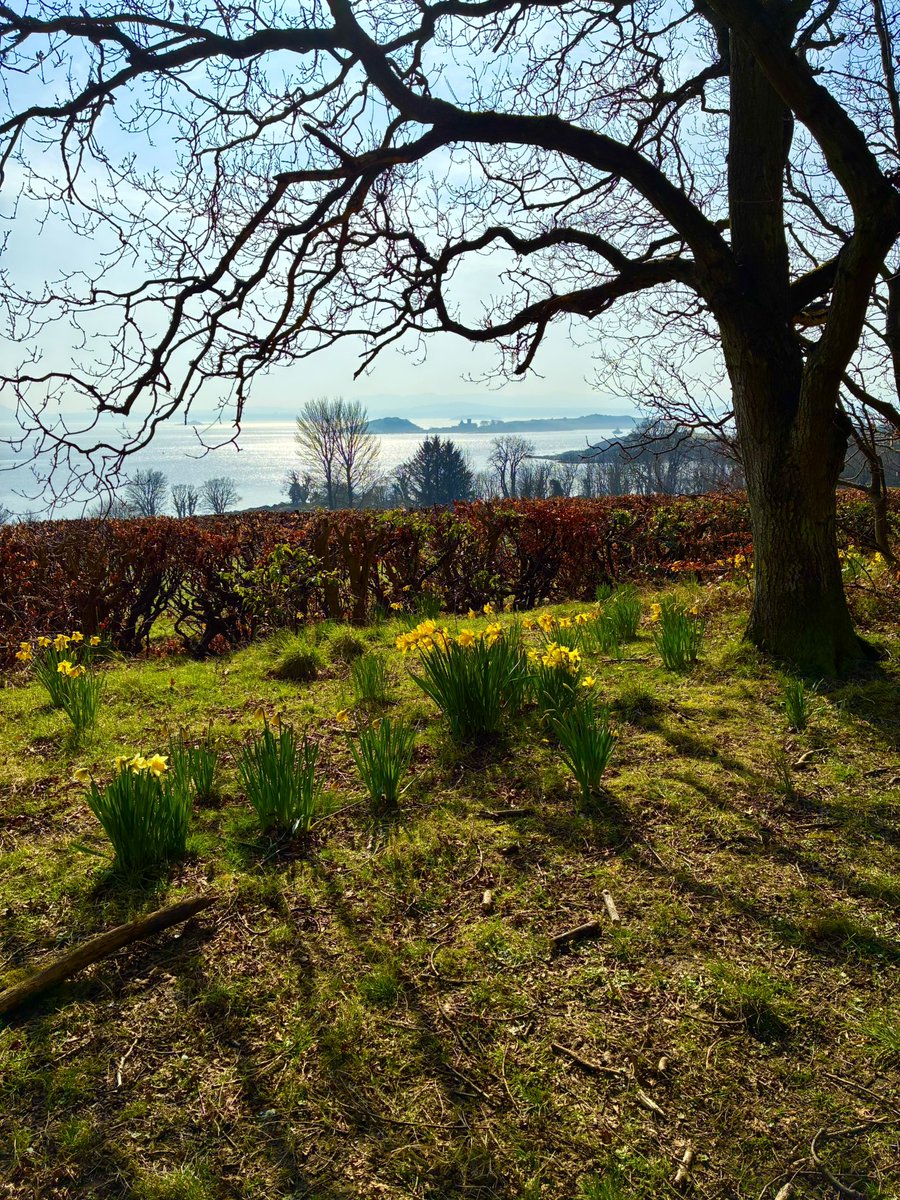 JP Morrison tweet media