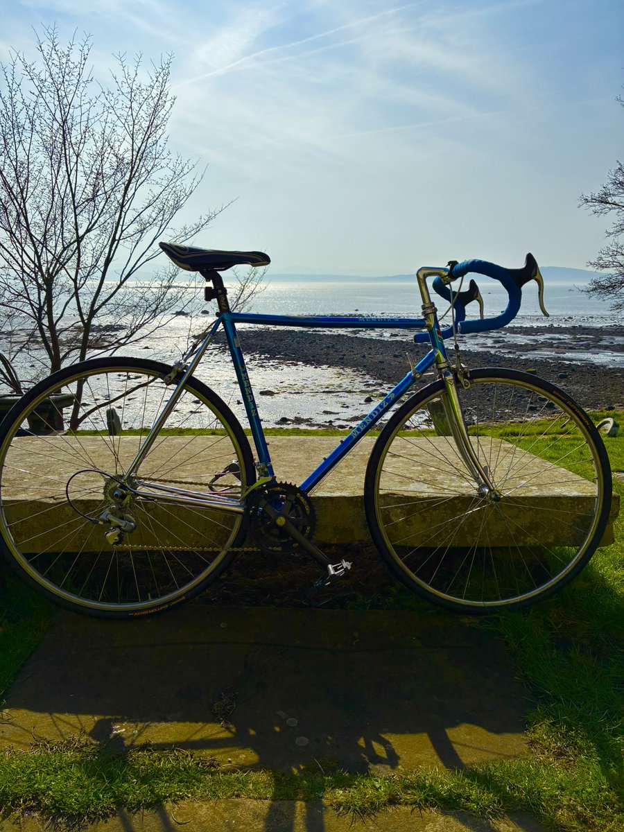 JP Morrison tweet media