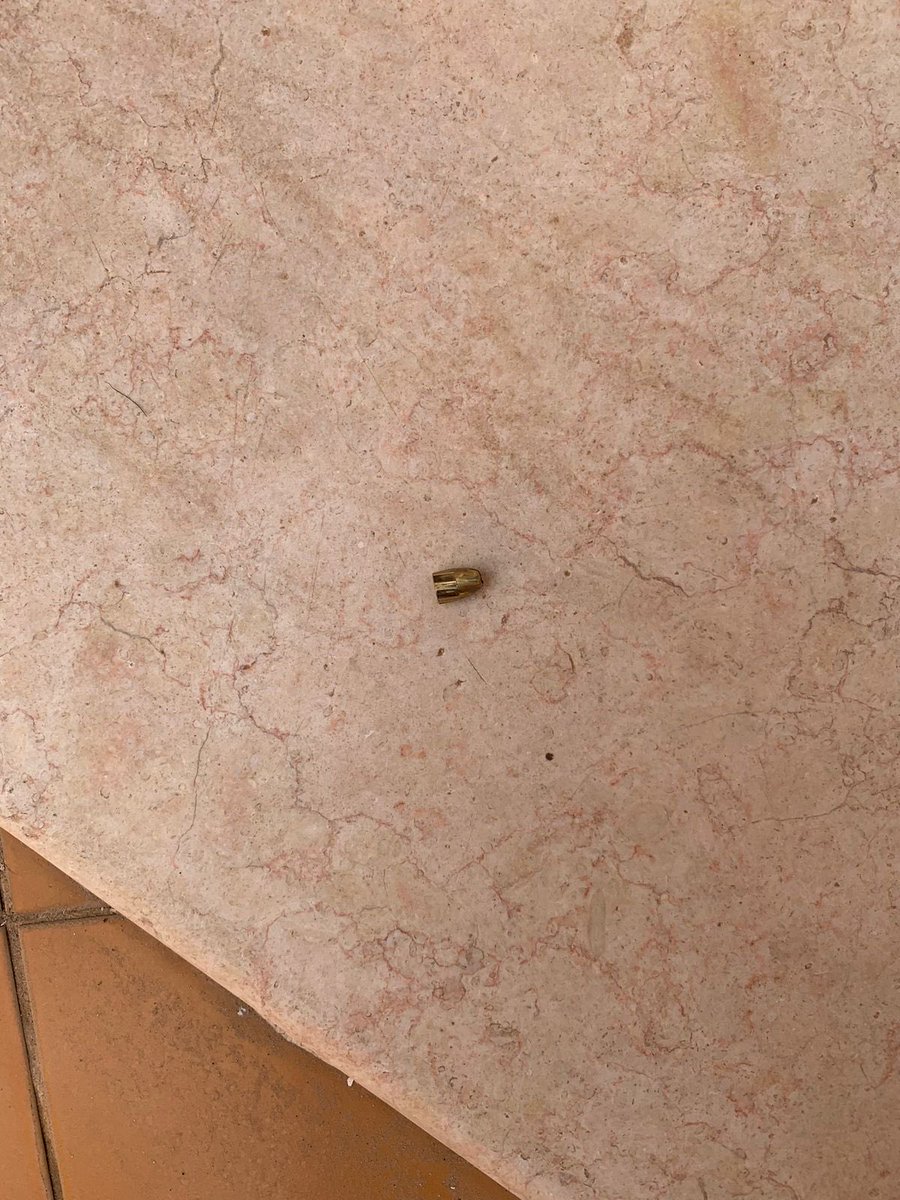 ᗪᗴᒪ tweet media