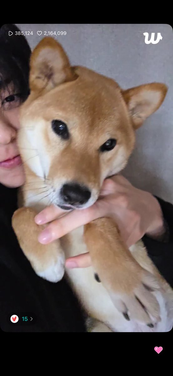 𝗠𝗼𝗻𝗮 tweet media