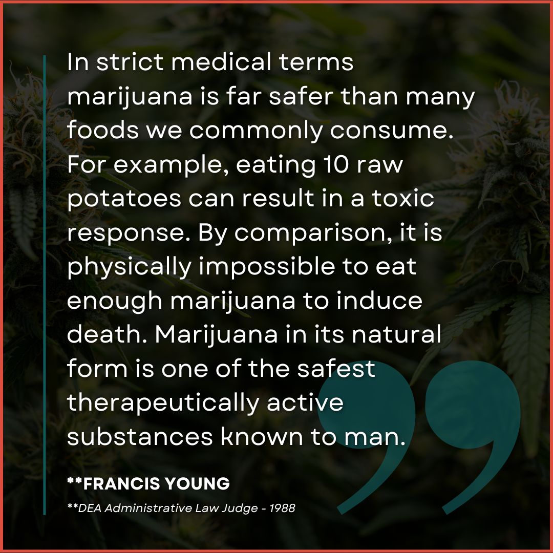 Herbal Dispatch (CSE: $HERB | OTC:$LUFFF FRA:$HA9) tweet media