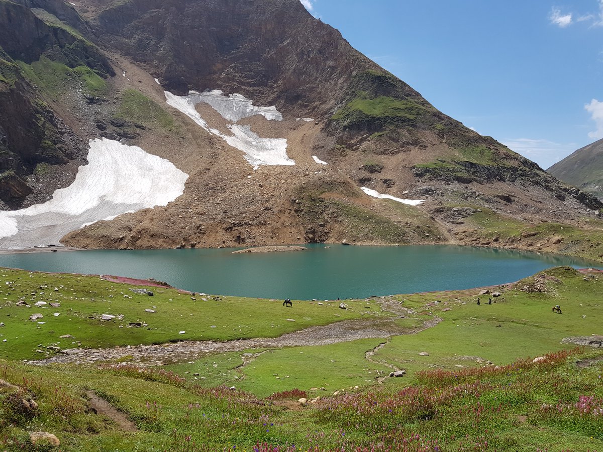 TestPracticeQA's tweet image. Test Content 855
#PARADYM