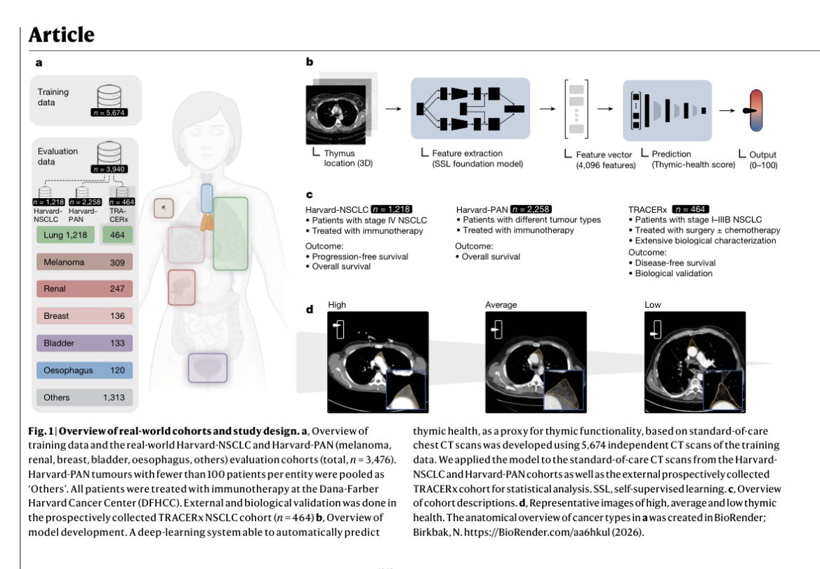 Vivek Subbiah, MD tweet media