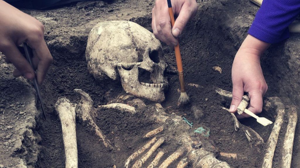 Daily Geek Show tweet media