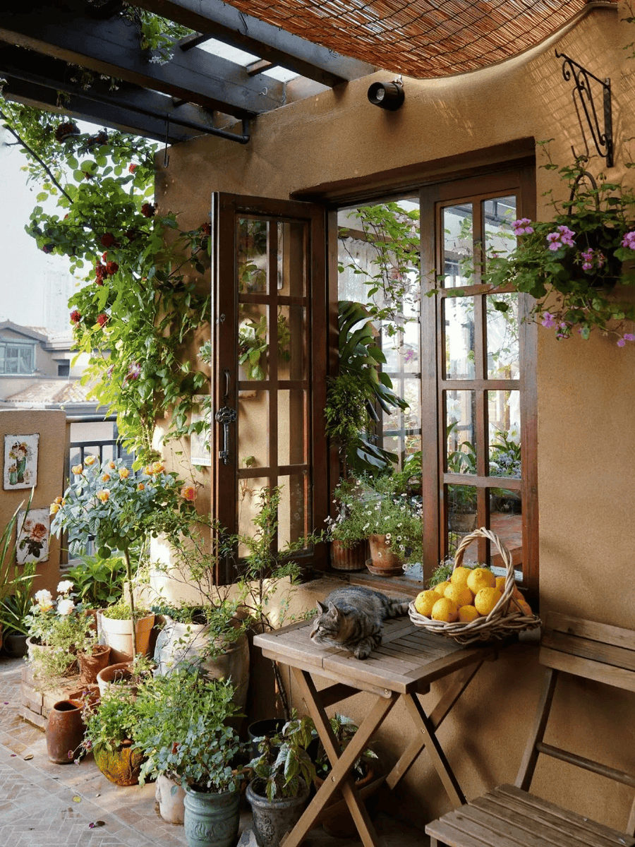 Katie Merrifield tweet media