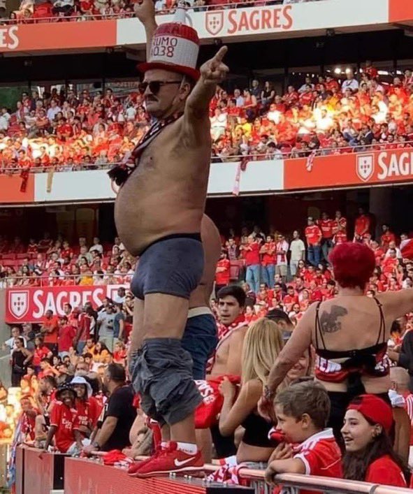 Miguel João Fernandz tweet media