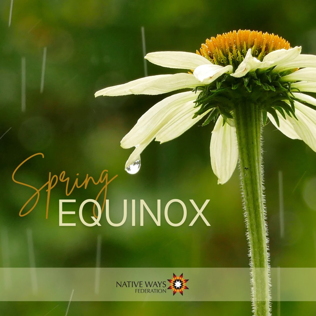 Native Ways Federation tweet media