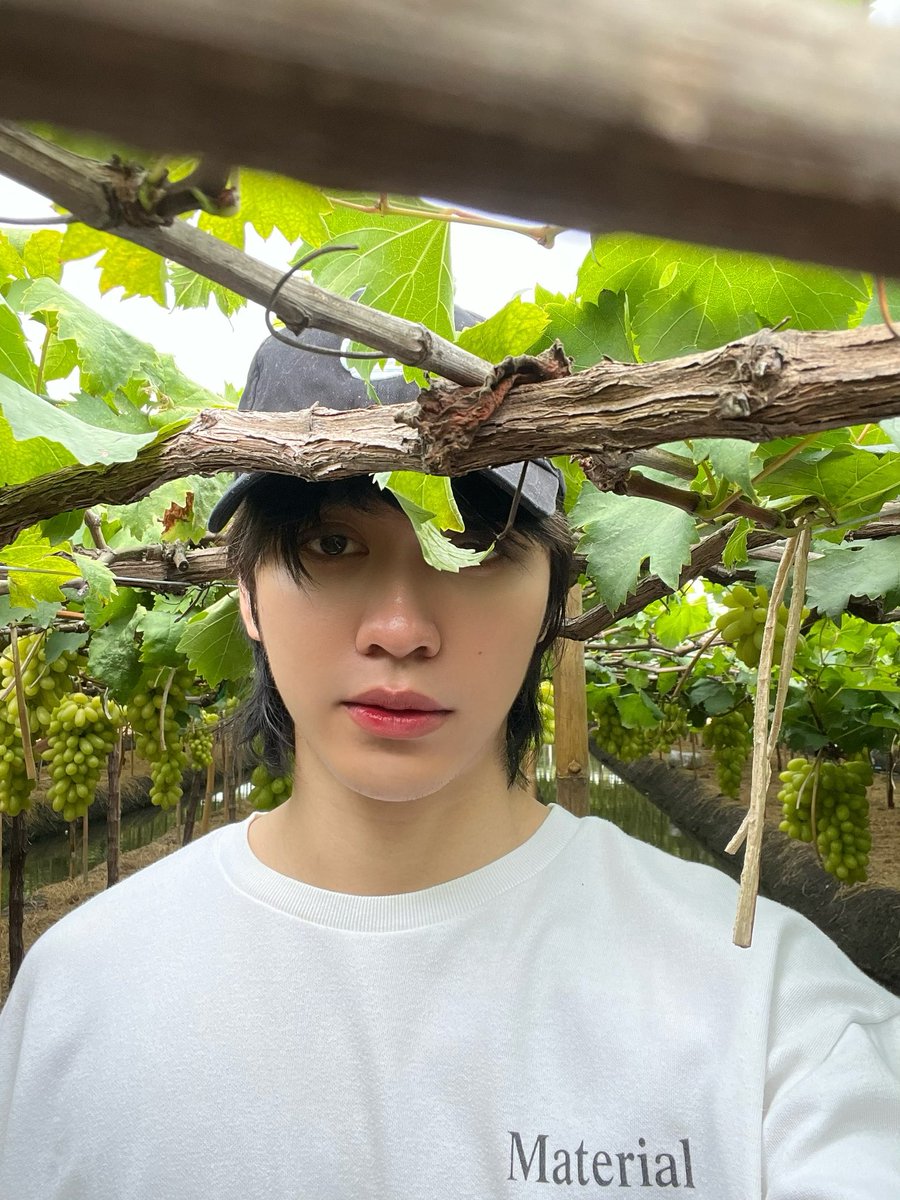 น้องราฟเก็บองุ่นรออยู่นะครับ ทุกคนทำอะไรกันเอ่ย #OnlyFriendsDreamOnEP4