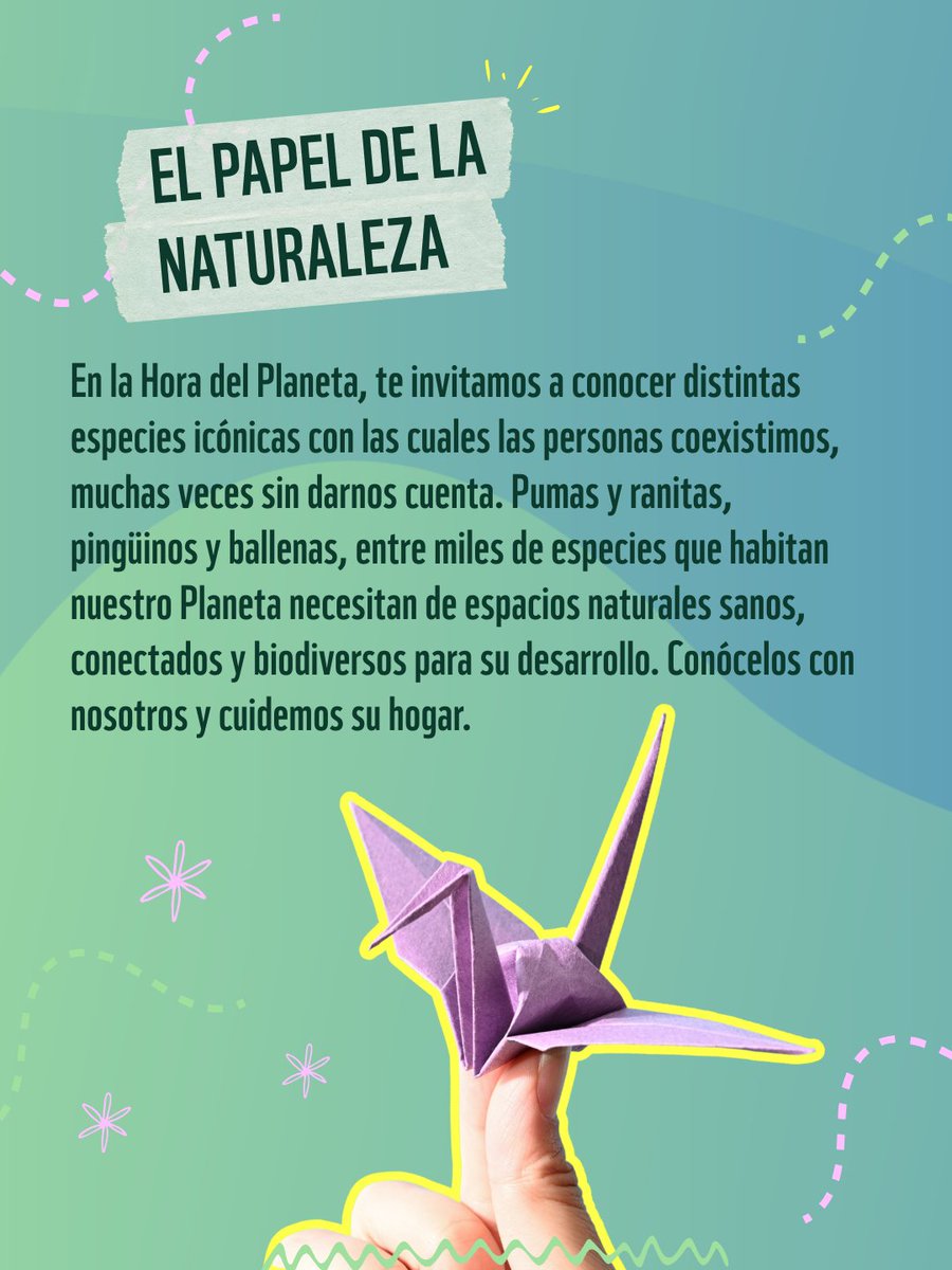 WWF Chile tweet media