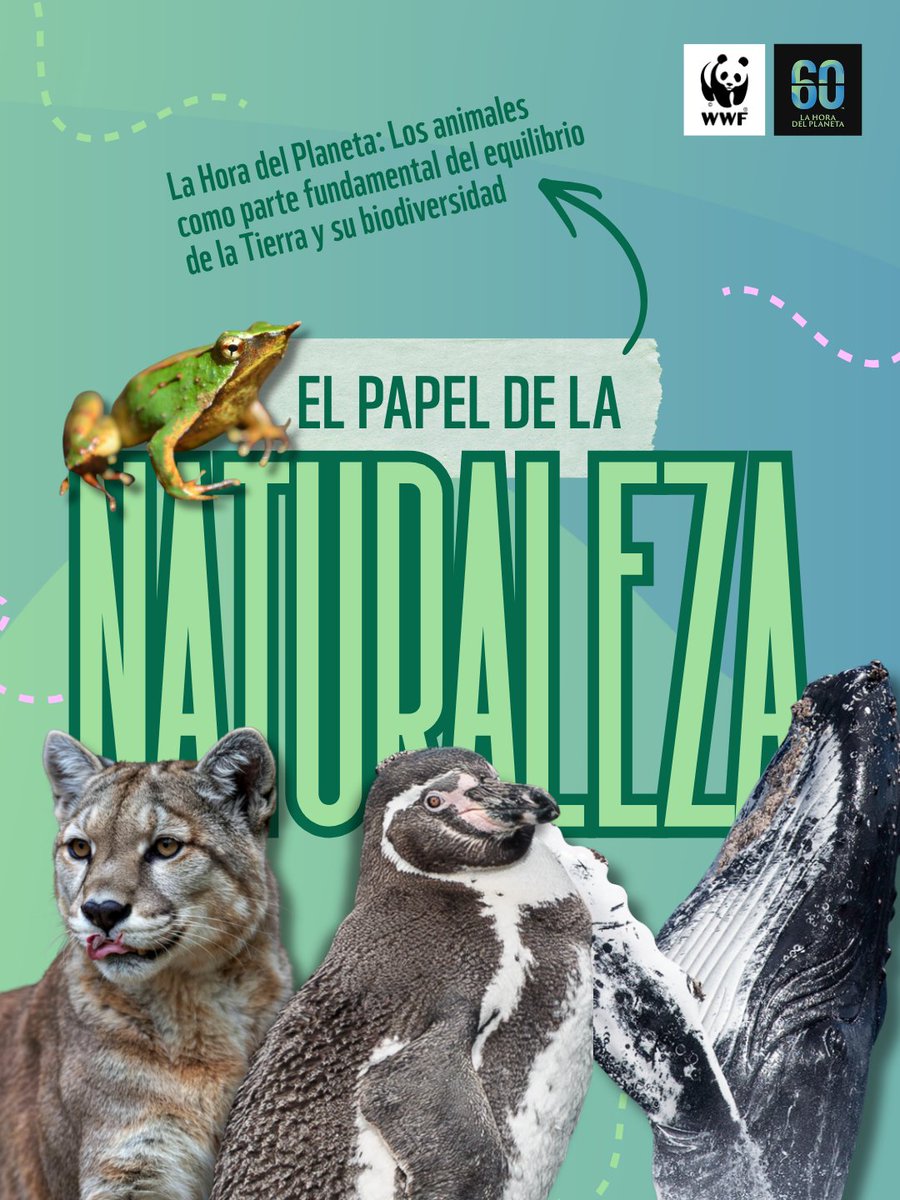 WWF Chile tweet media