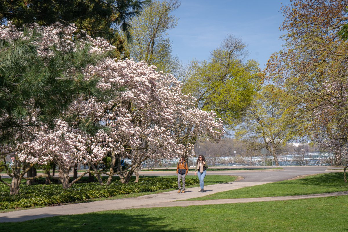 University of Niagara Falls Canada tweet media