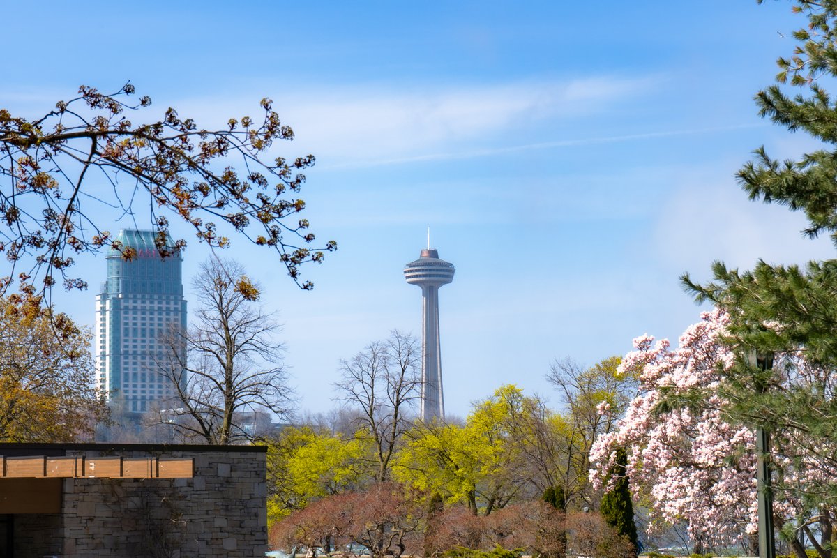 University of Niagara Falls Canada tweet media