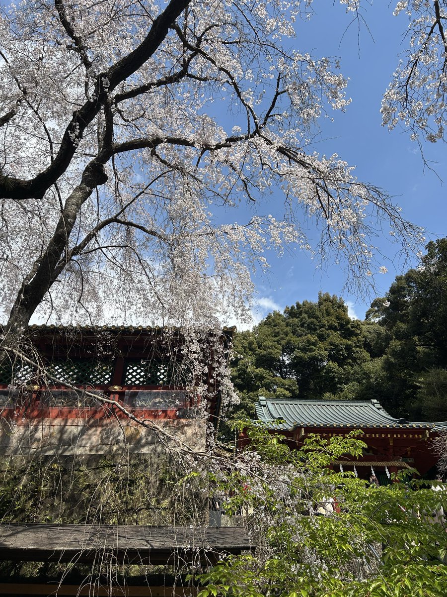 あやぴょん｜HR・PR tweet media