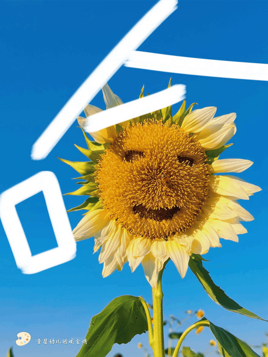 Ninđo Bodač tweet media