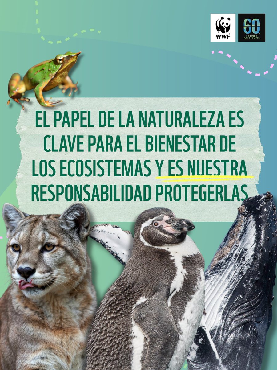 WWF Chile tweet media