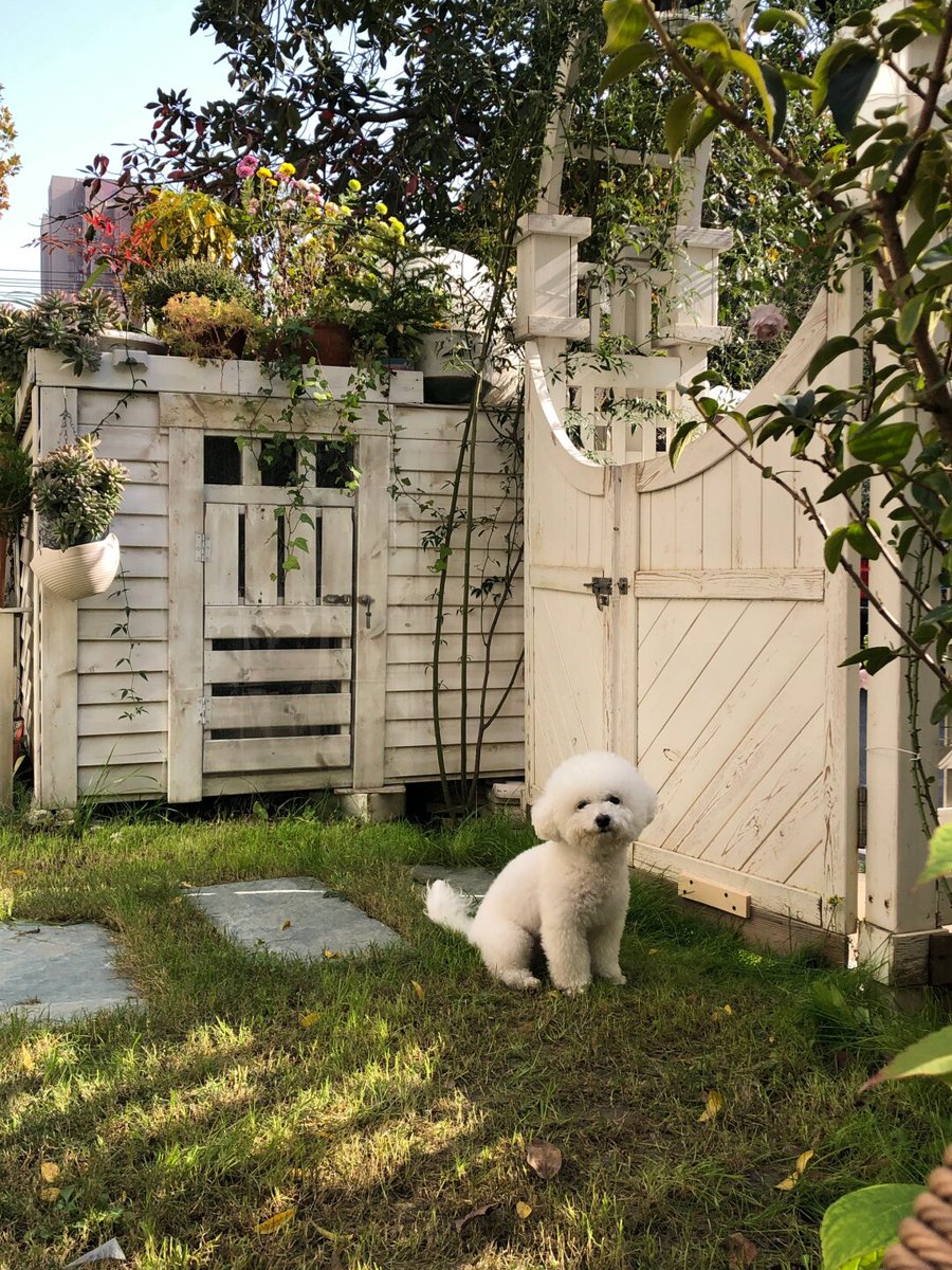 Ashley Cresci tweet media