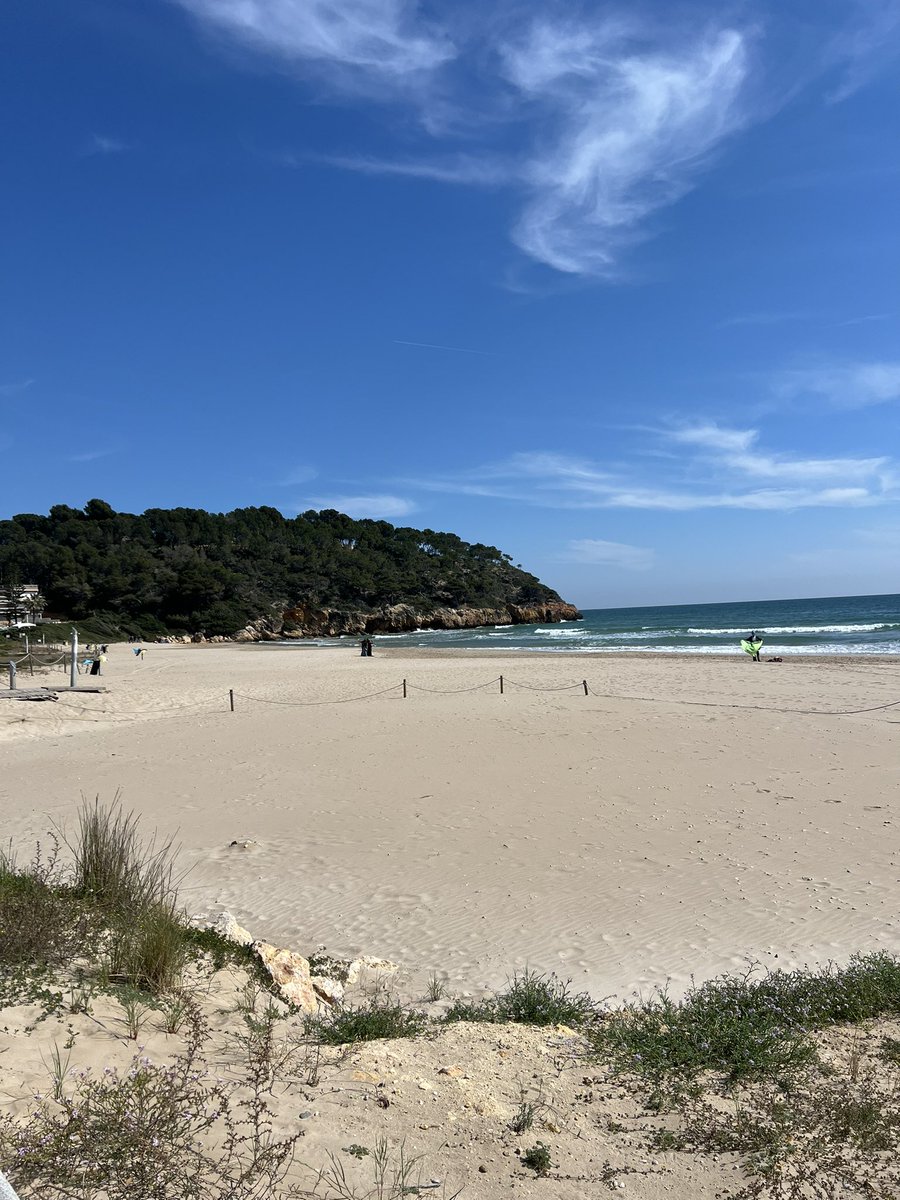 🅿🅰🆄🅻 🅲🅾🅻🅻🅸🅴🆁 tweet media