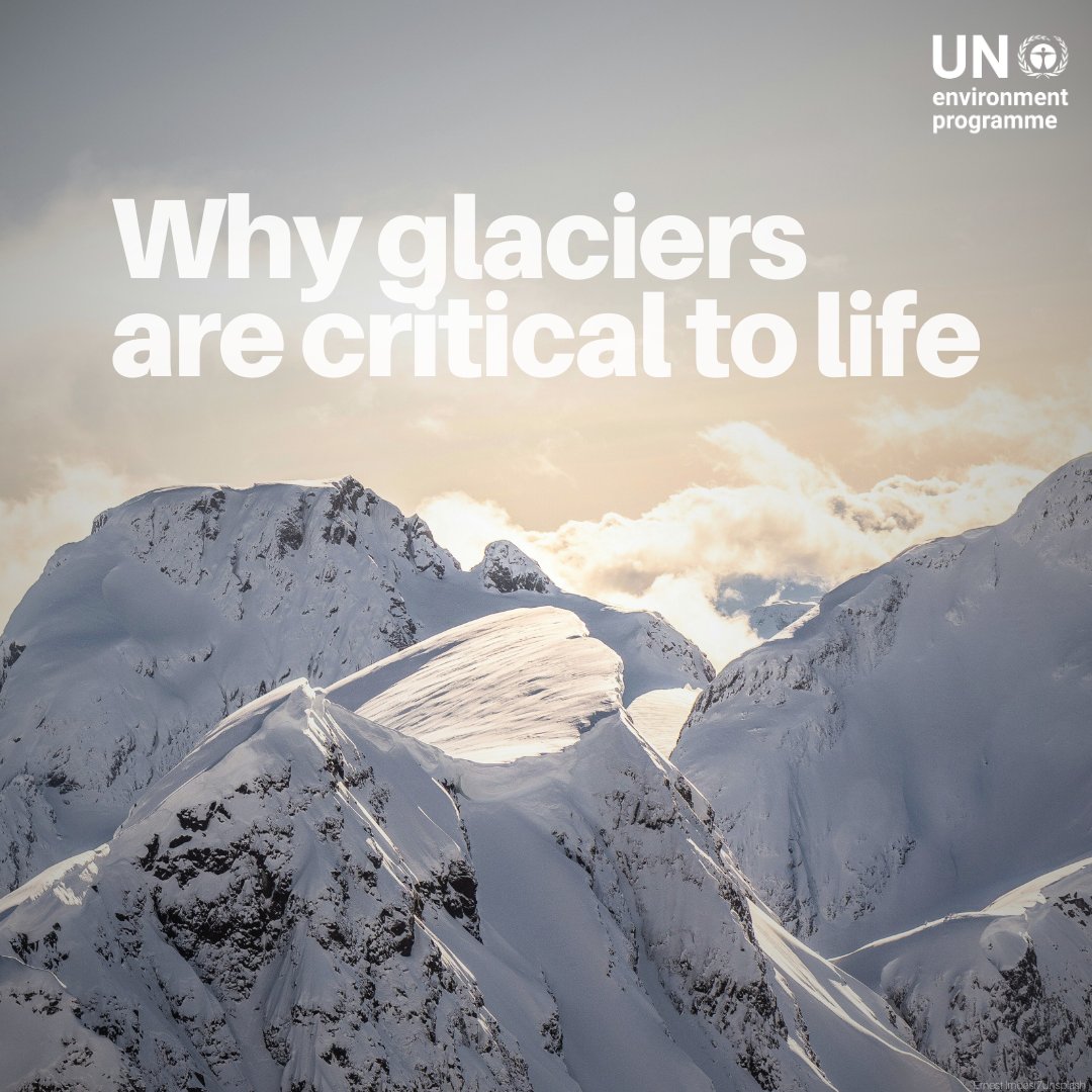 UN Environment Programme tweet media