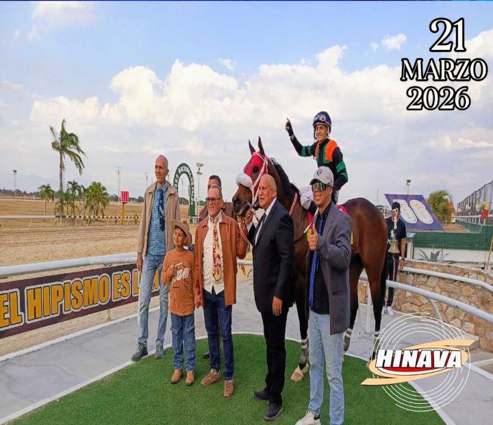 LINEA 🐎HIPICA tweet media