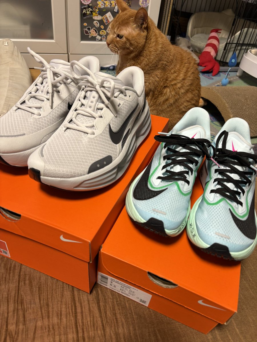 takuya_tg_'s tweet photo. 佐野プレミアムアウトレットに行ってきた〜🤣

AJ4 の黒欲しかったけど 悩んで無難なチョイス🫣
アプリ初回クーポンもあったから 45%オフでした🙌 https://t.co/LrC50mouRZ