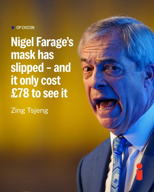 dave lawrence 🐟🐟🐠 tweet media