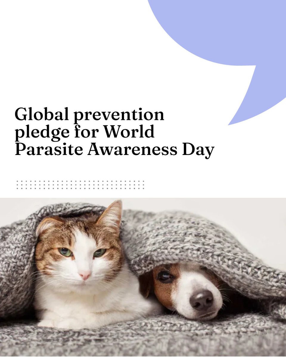 VN Times tweet media