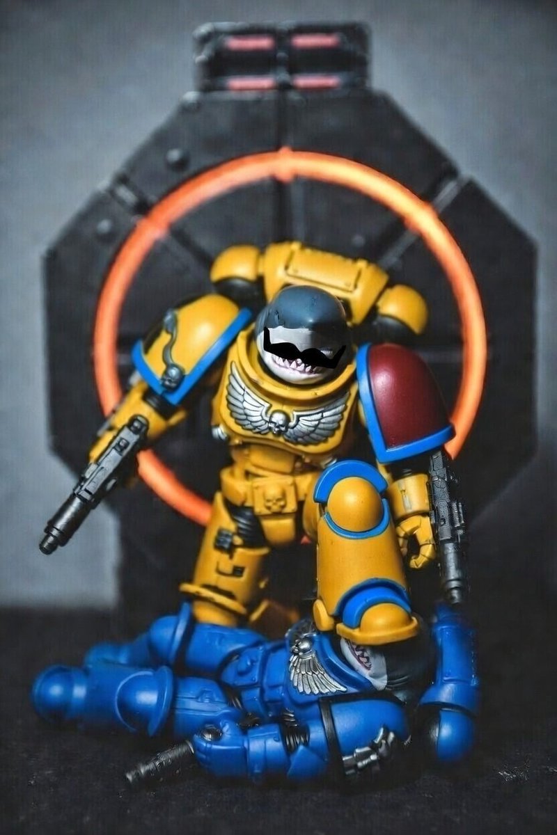 Notorious Nicholas Gurr tweet media