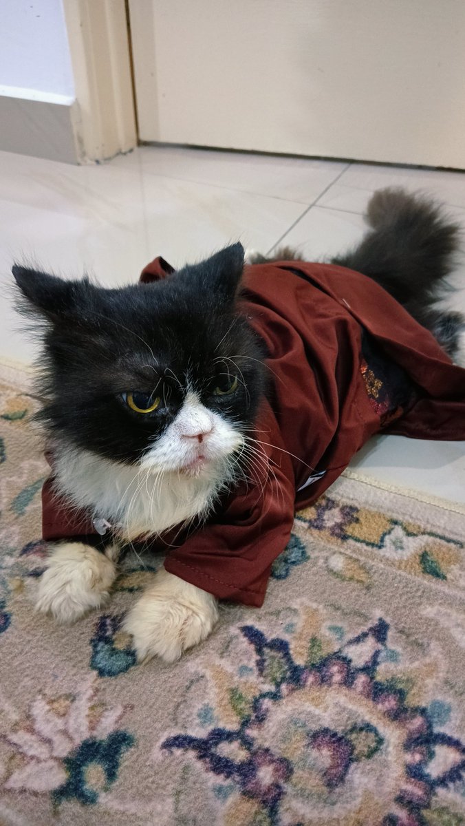 RubyZiq | Drawing arc 🍉 tweet media