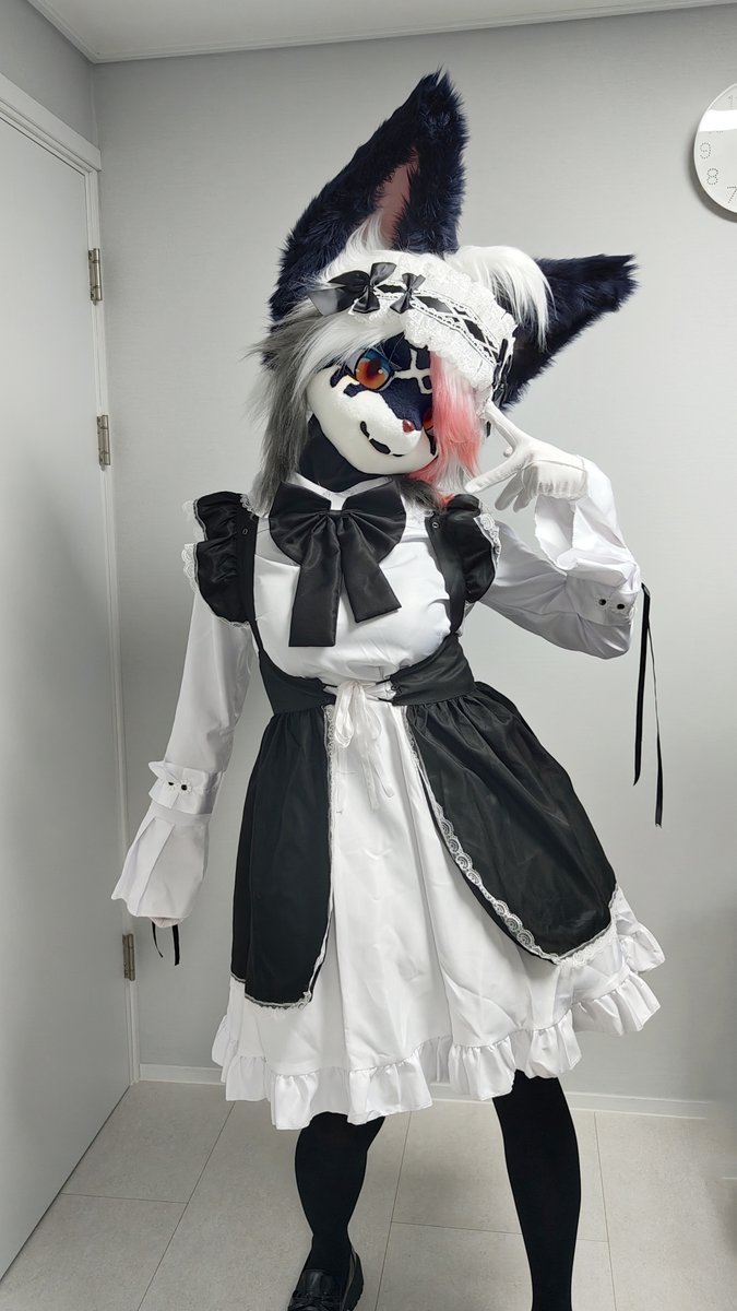 벨록스 tweet media