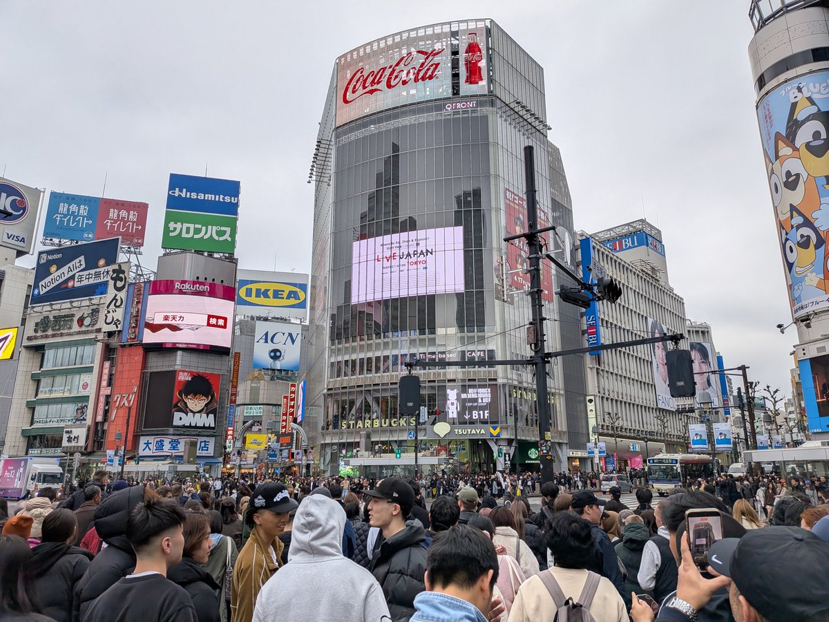 たお【池ドン部】 tweet media