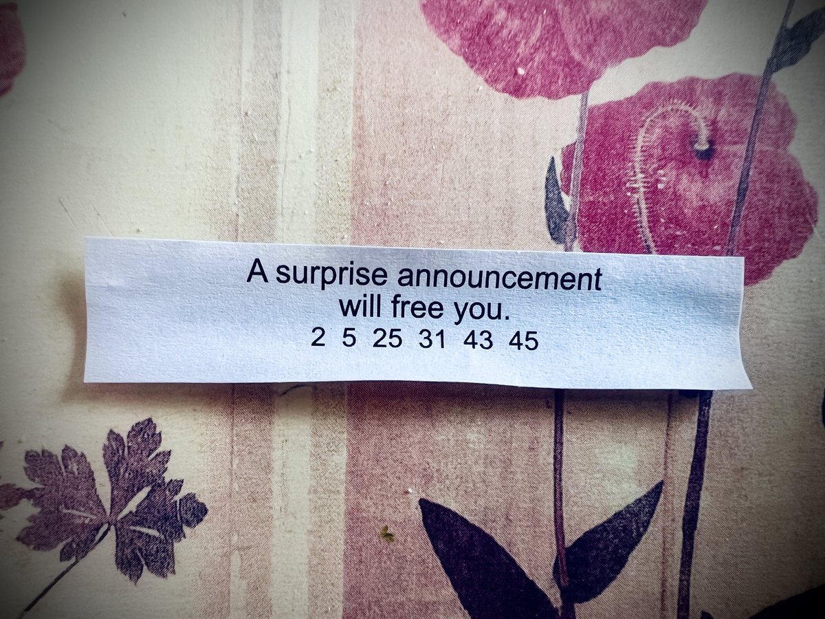 Tim Amor tweet media