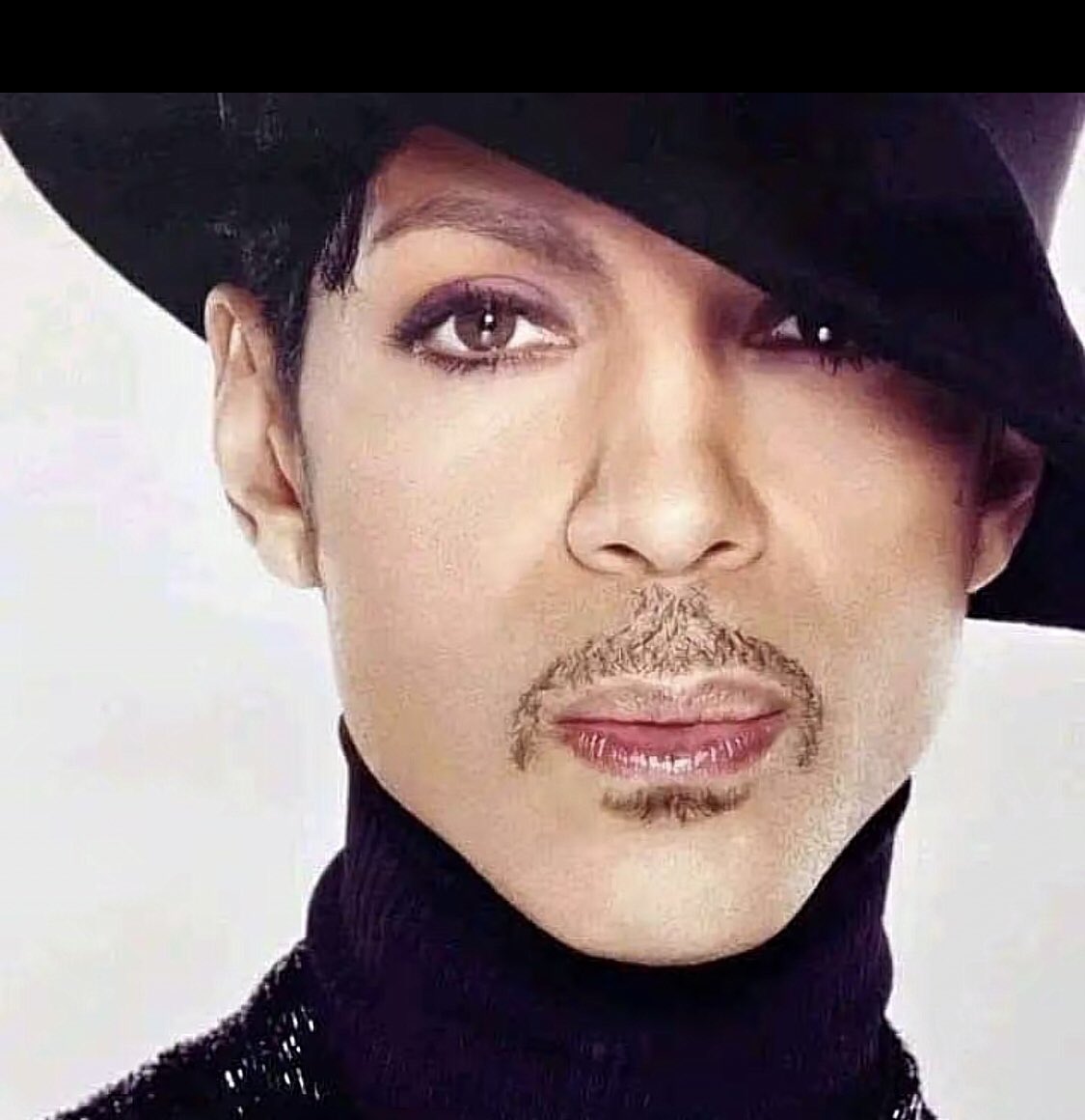 PURPLE FUNK tweet media