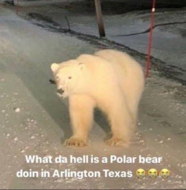 y ٠࣪⭑꩜.ᐟ tweet media