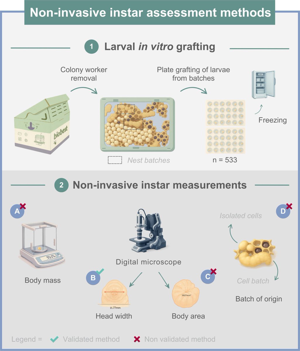 Entomologia Experimentalis et Applicata tweet media