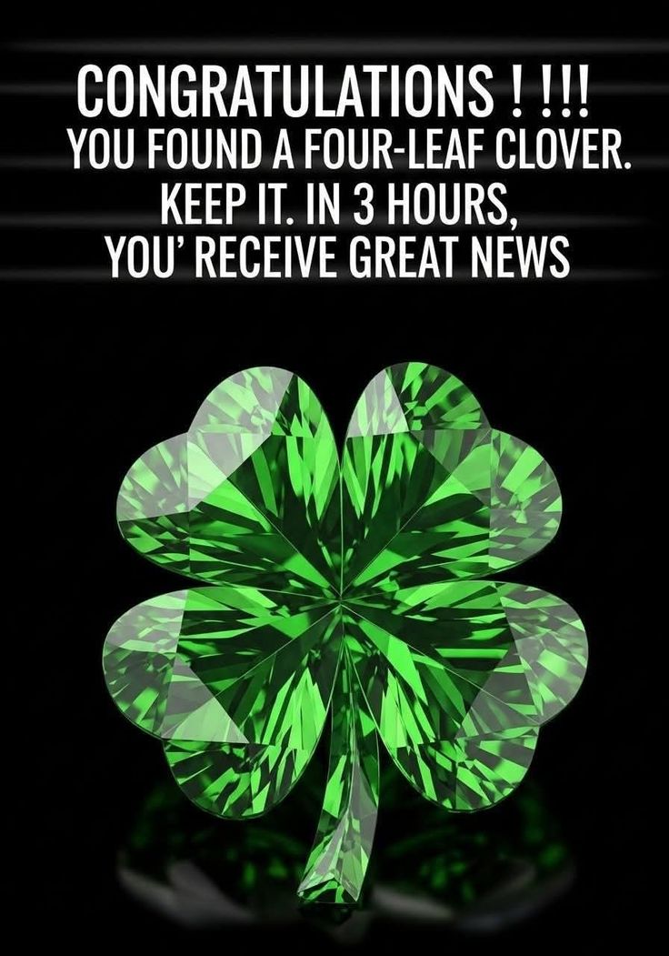 Law_of_attraction tweet media