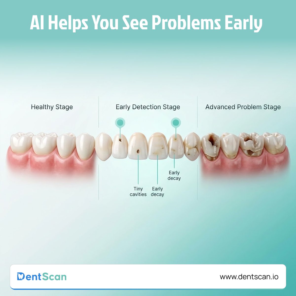DentScan tweet media