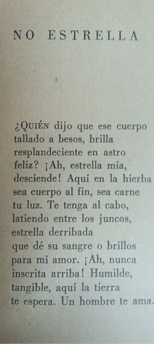 BENJI🦇🖤🌓 tweet media