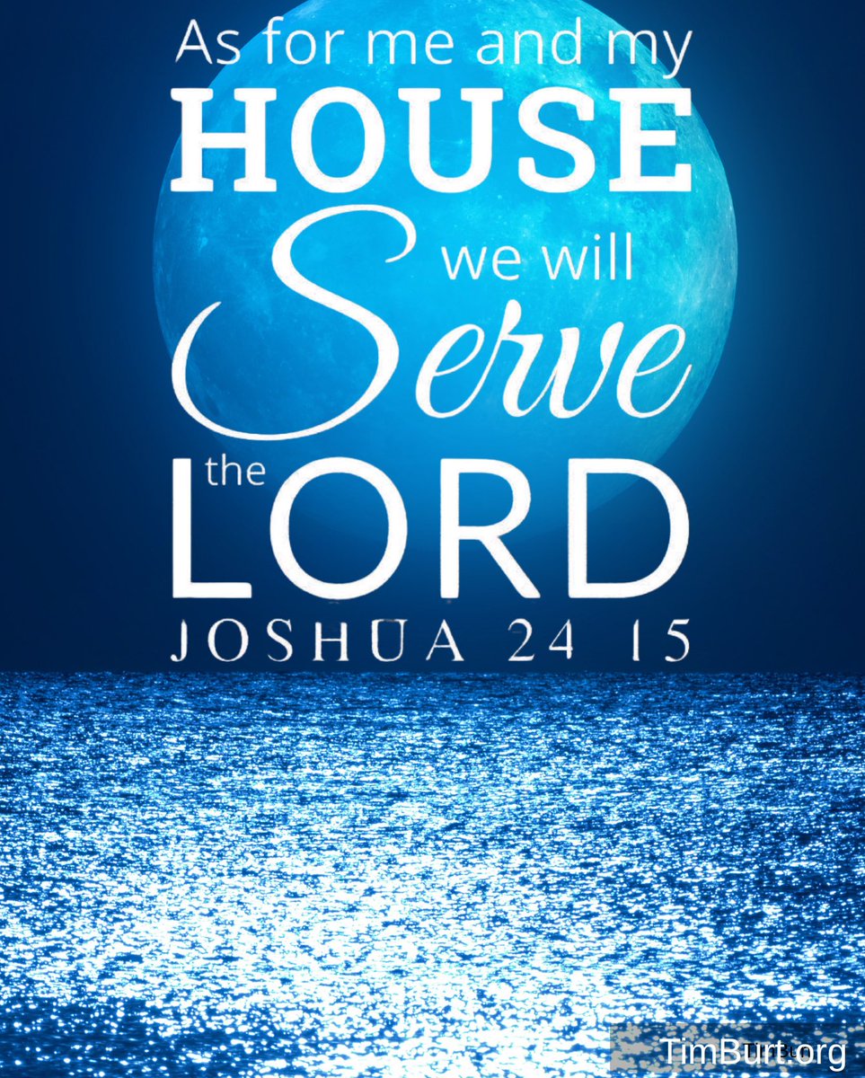 Timothy Burt tweet media