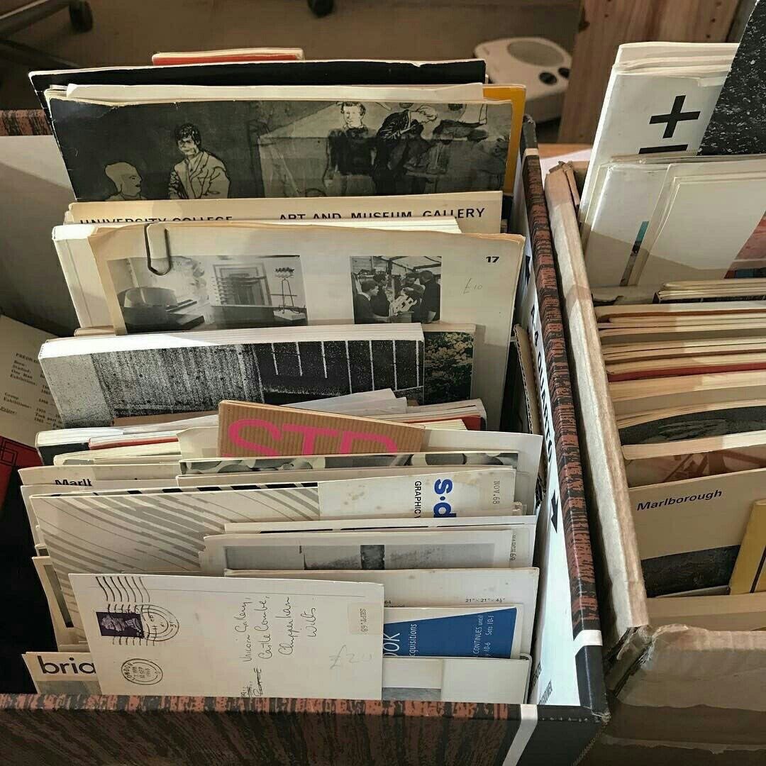 Finnegan. tweet media