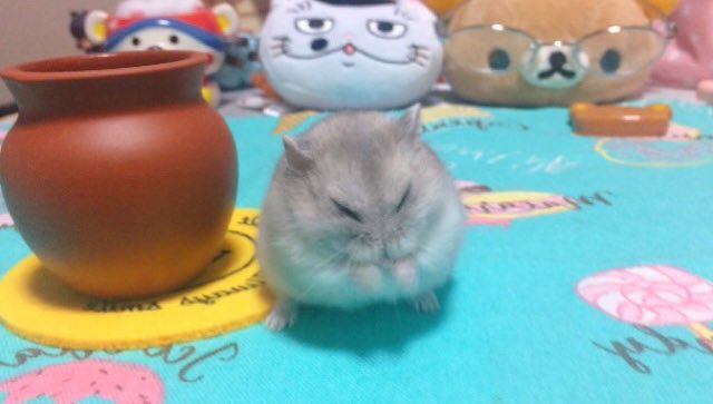マジ　ぎゅんぎゅんぎゅん