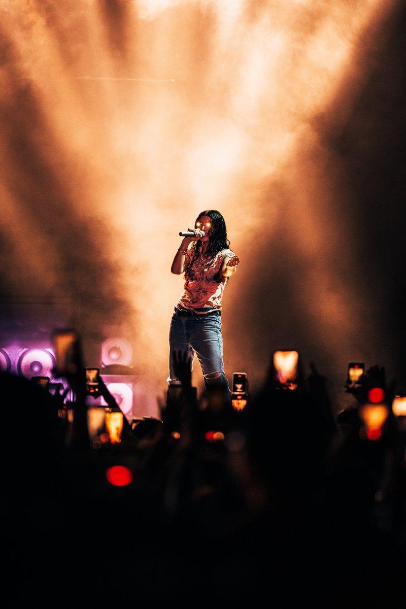 Lorde fix 🩻🧬⛓️ tweet media