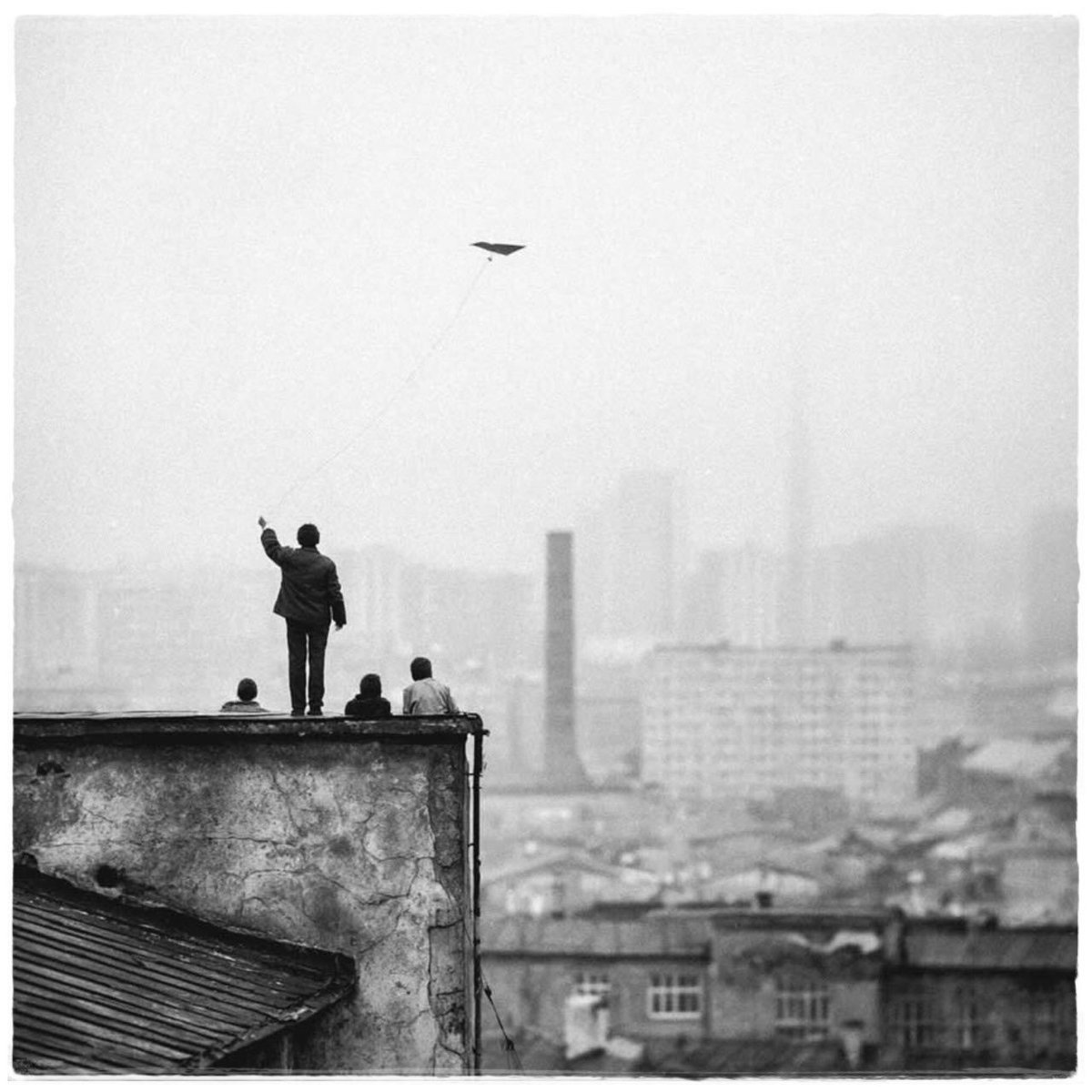 MarchaDaHistória tweet media