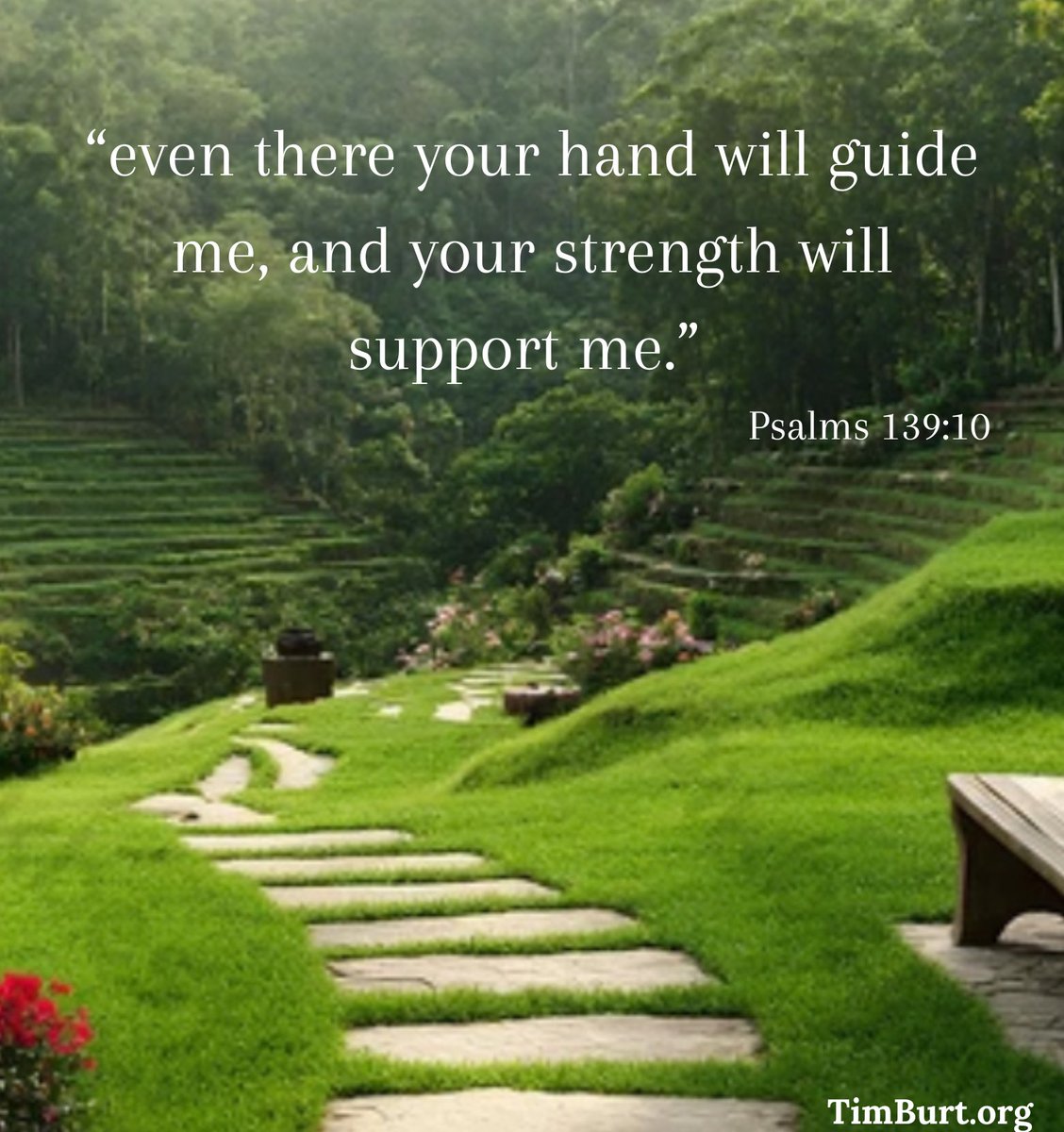 Timothy Burt tweet media