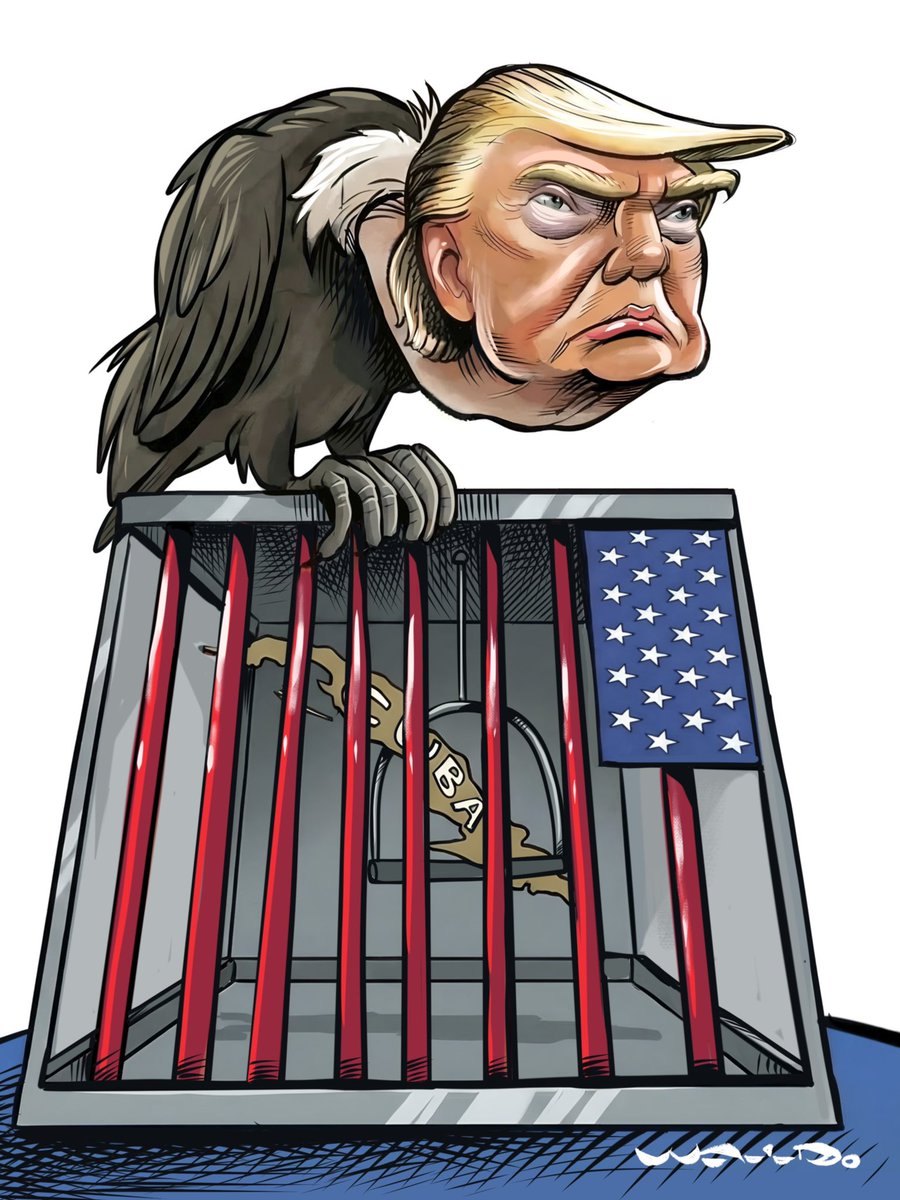 Waldo Matus 🎨🖌 tweet media