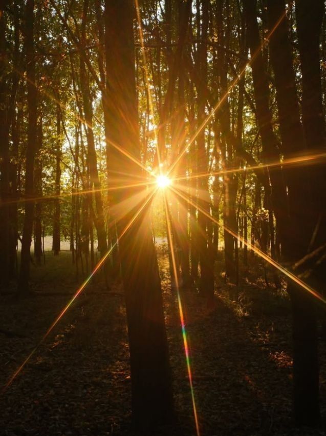 LunaKosmika's tweet photo. El tránsito Solar más poderoso es el Equinoccio en Aries porque el Sol entra en su signo de exaltación, su fuerza, luz y poder son más visibles. 

Este año es especial, al entrar activa la  energía que dejó la conjunción Saturno-Neptuno, el Mago y el Constructor, muchos proyectos/sueños se estarán cumpliendo en ésta temporada, eso sí con mucho esfuerzo.

Algo que en la primera semana de marzo despuntaba como un anhelo ahora se hace visible. Y en la tercera semana de abril tomará su última forma cuando Mercurio y Marte entren en Aries ♥️

Feliz Equinoccio 💫✨