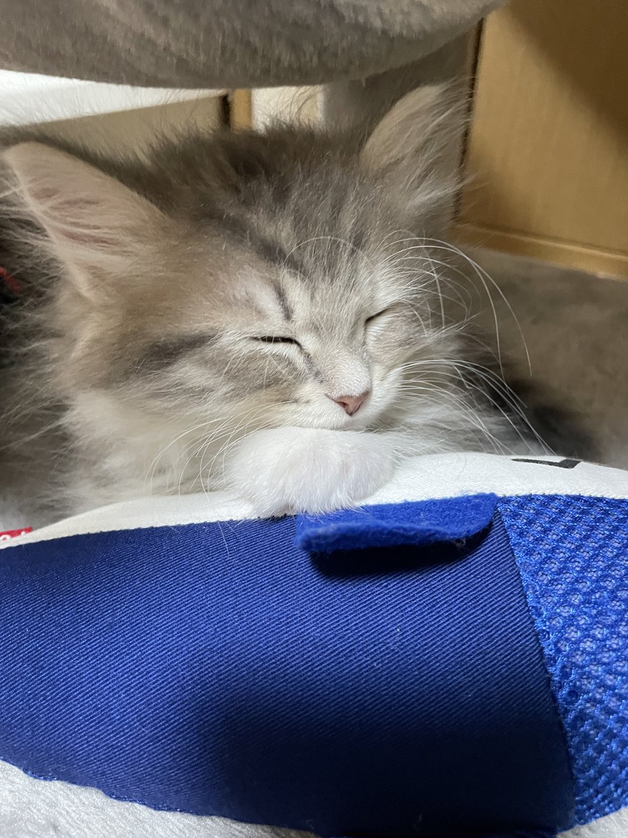 𝚈𝚞𝚞𝚗𝚊 tweet media