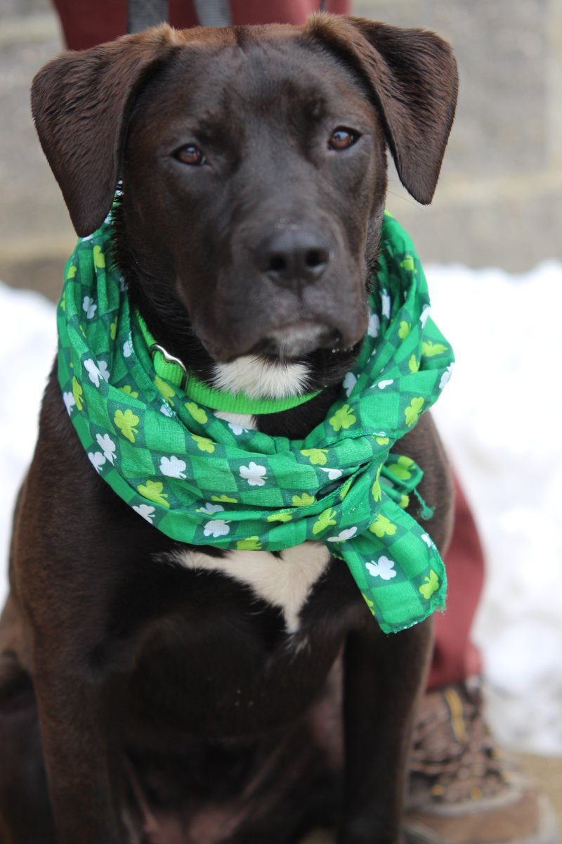 PA Department of Corrections tweet media