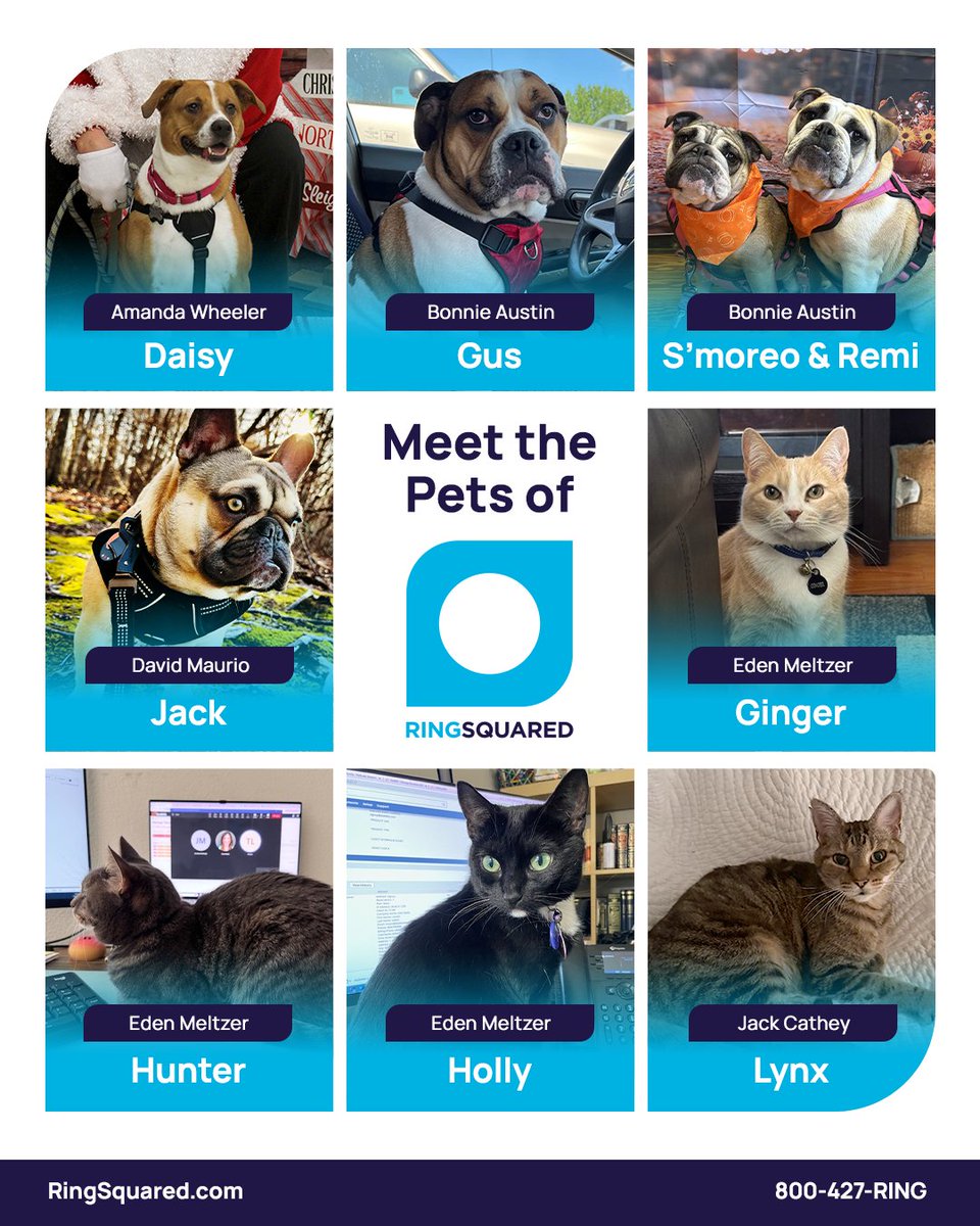 RingSquared tweet media