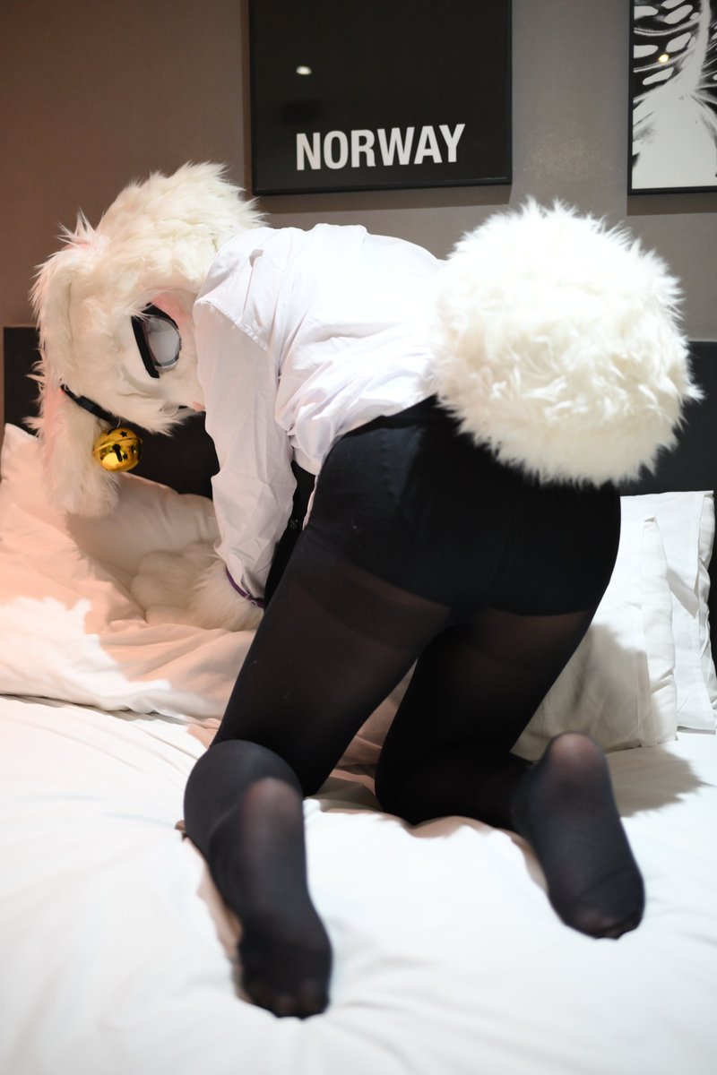 슈가볼_sugarball tweet media